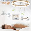 windphoto 24" Ceiling Fans with Lights, Low Profile Fandelier for Bedroom | Flush Mount Fan Light, Stepless Dimmable, App/Remote Control, 3 CCT Led, 6 Speeds, Quiet Reversible DC Motor, Gold