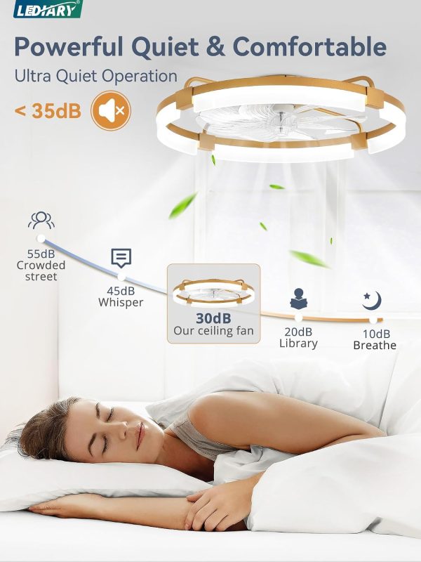 windphoto 24" Ceiling Fans with Lights, Low Profile Fandelier for Bedroom | Flush Mount Fan Light, Stepless Dimmable, App/Remote Control, 3 CCT Led, 6 Speeds, Quiet Reversible DC Motor, Gold