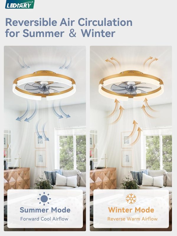 71INlIfQ6aL._AC_SL1500_.jpg windphoto 19.7" Ceiling Fans with Lights, Low Profile Fandelier for Bedroom | Flush Mount Fan Light, Stepless Dimmable, App/Remote Control, 3 CCT Led, 6 Speeds, Quiet Reversible DC Motor, Gold