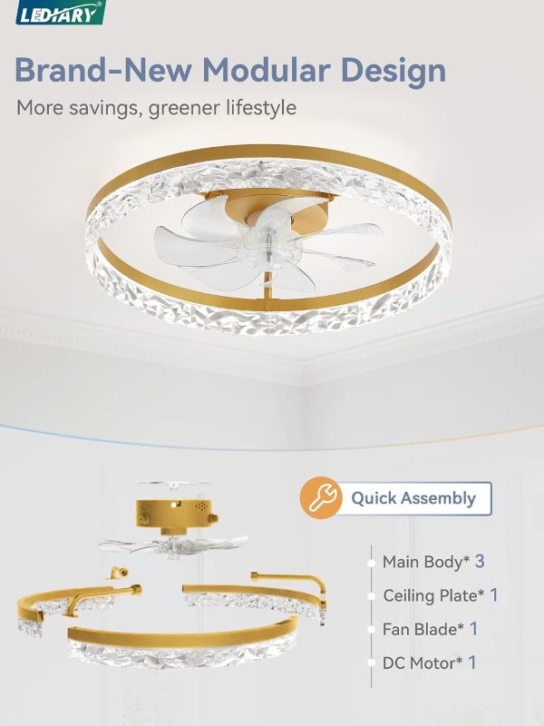 windphoto 20" Modern Ceiling Fans with Lights and Remote, Dimmable Low Profile Ceiling Fan, Flush Mount Fan, Stepless Color Temperature Change and 6 Speeds - Gold | Fandelier, Dimmable Low Profile, Flush Mount, Stepless Color Temperature Change, 6 Speeds, Bedroom, Living Room, Kitchen