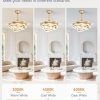 windphoto 42 Inch Retractable Ceiling Fan with Lights, Modern Gold Fandelier | 6 Speeds, 3000K-6000K Adjustable, DC Motor, Chandelier Ceiling Fans with Lights and Remote for Bedroom Living Room