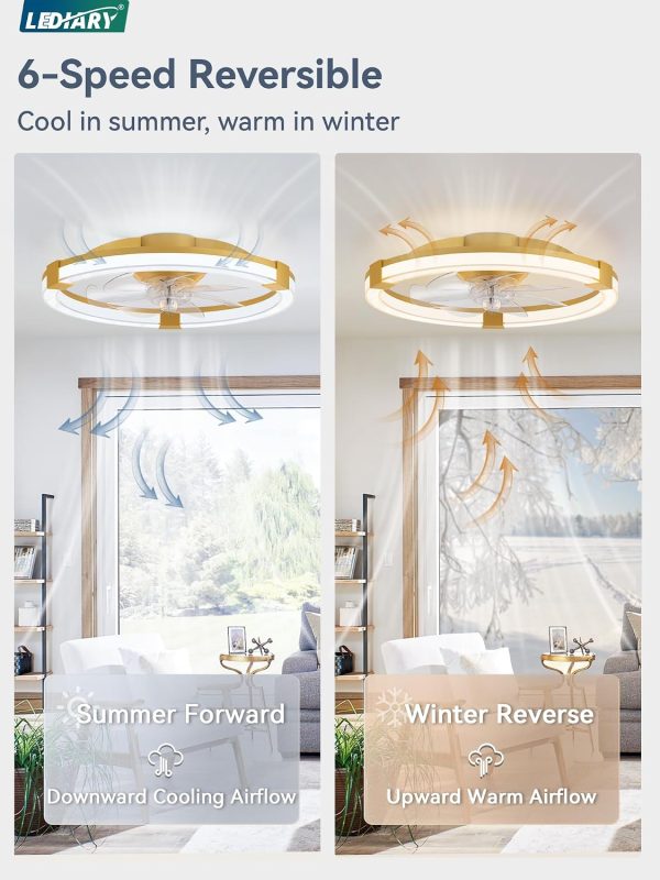 71KjUGcTi8L._AC_SL1500_.jpg windphoto Ceiling Fan with Light 20" Low Profile Fandelier with Remote Gold | 6 Speeds, Reversible, Dimmable Flush Mount Fan Light, Modern Ceiling Fan with Lights for Bedroom Bladeless