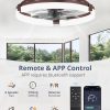 windphoto 20" Ceiling Fans with Lights, Low Profile Fandelier for Bedroom | Flush Mount Fan Light, Stepless Dimmable, App/Remote Control, 3 CCT Led, 6 Speeds, Quiet Reversible DC Motor, Brown