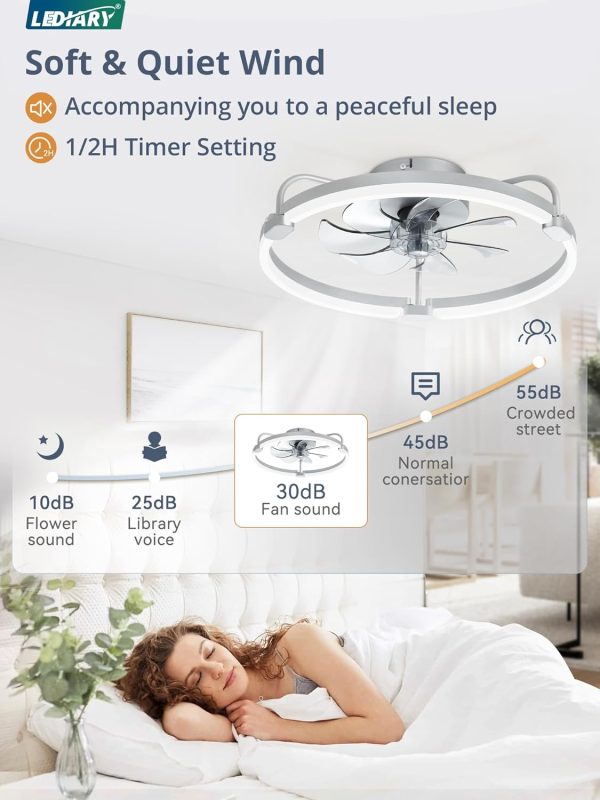 71LDeaLHW-L._AC_SL1500_.jpg windphoto 2 Pack 20" Low Profile Ceiling Fans with Lights and Remote | Flush Mount, Stepless Dimmable Fandelier, 6 Speeds, 3 CCT, Quiet Reversible DC Motor, 2H Timer, Bedroom, Living Room, Grey