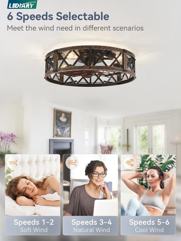 71LZRwZWm3L._AC_SL1500_.jpg windphoto 20" Caged Farmhouse Ceiling Fan with Light, Flush Mount, Black Gold | Remote&APP Control, Small Low Profile, Rustic Fandaliers, Industrial Bladeless Enclosed, Powerful Motor for Bedroom, Kitchen
