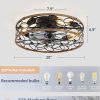 71Mc20c4oyL._AC_SL1500_.jpg windphoto 20" Caged Ceiling Fan with Light, Flush Mount Fandalier with Remote | Low Profile, Farmhouse Small, Bladeless Industrial, Quiet DC Motor, App Control for Bedroom, Kitchen, Dining Room, Walnut