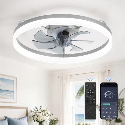 71MsgxD4K5L._AC_SL1500_.jpg windphoto 20" Low Profile Ceiling Fans with Lights, APP & Remote, Grey | Flush Mount, Dimmable LED, Quiet DC Motor, Reversible, 6 Speeds, Fandelier, for Bedroom