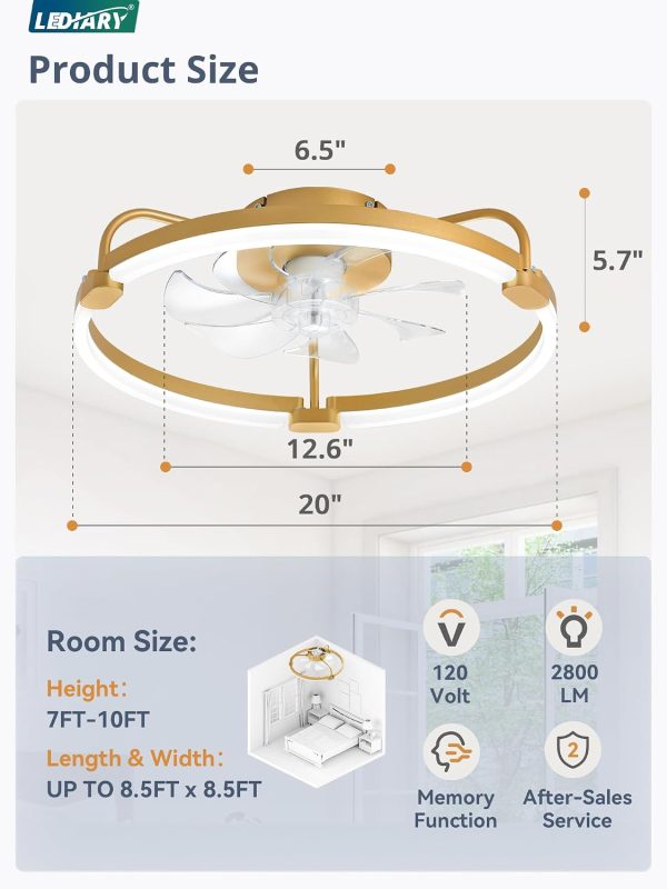 71NHU0JniL._AC_SL1500_.jpg windphoto 20" Ceiling Fans with Lights and Remote, Low Profile Led Fan Light | Flush Mount, Stepless Dimmable Fandelier, 6 Speeds, 3 CCT, Quiet Reversible DC Motor, 2H Timer, Bedroom, Living Room, Gold