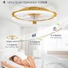 71NozBfz3L._AC_SL1500_.jpg windphoto Ceiling Fan with Light 20" Low Profile Fandelier with Remote Gold | 6 Speeds, Reversible, Dimmable Flush Mount Fan Light, Modern Ceiling Fan with Lights for Bedroom Bladeless