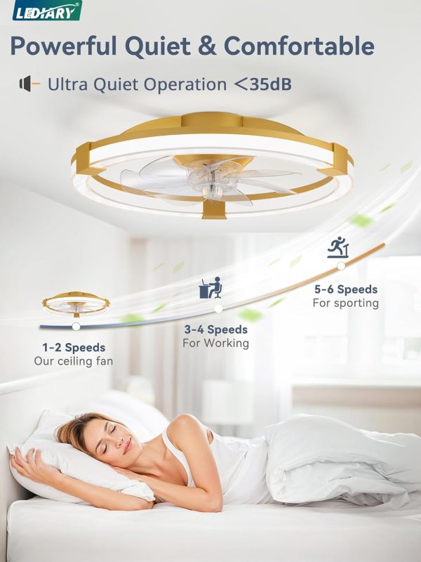 71NozBfz3L._AC_SL1500_.jpg windphoto Ceiling Fan with Light 20" Low Profile Fandelier with Remote Gold | 6 Speeds, Reversible, Dimmable Flush Mount Fan Light, Modern Ceiling Fan with Lights for Bedroom Bladeless