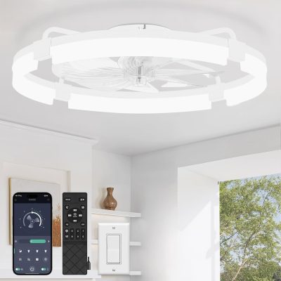 windphoto 24" Ceiling Fans with Lights, Low Profile Fandelier for Bedroom | Flush Mount Fan Light, Stepless Dimmable, App/Remote Control, 3 CCT Led, 6 Speeds, Quiet Reversible DC Motor, White