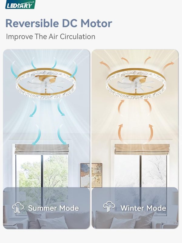 windphoto 20" Modern Ceiling Fans with Lights and Remote, Dimmable Low Profile Ceiling Fan, Flush Mount Fan, Stepless Color Temperature Change and 6 Speeds - Gold | Fandelier, Dimmable Low Profile, Flush Mount, Stepless Color Temperature Change, 6 Speeds, Bedroom, Living Room, Kitchen