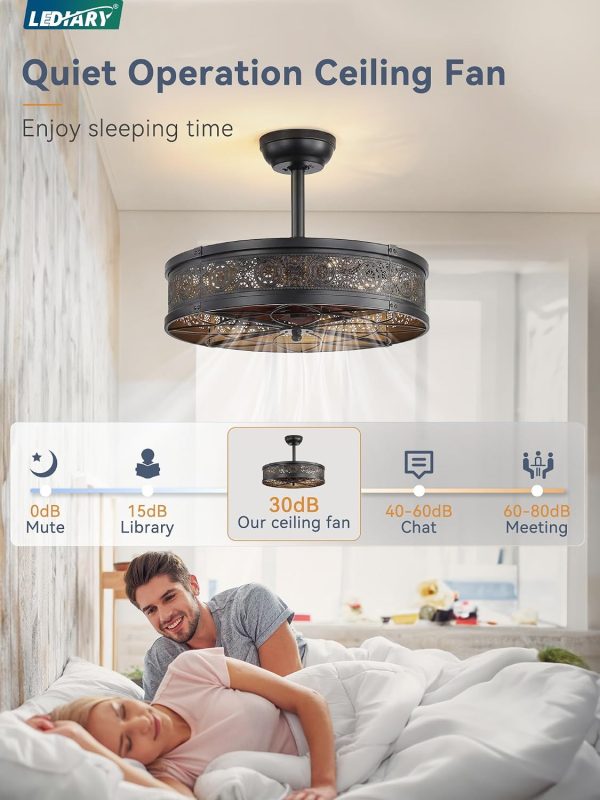 windphoto 20" Caged Farmhouse Victorian Ceiling Fan with Light, Black | Downrod, Bladeless Enclosed Fandelier, 6 Speed, Quiet Powerful DC, Rustic,Vintage, Rustic, Small, Bedroom, Kitchen