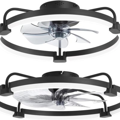windphoto 20 Inch and 24 Inch Ceiling Fans with Lights and Remote, 3000-6000K Dimmable Modern Flush Mount LED Fan Light, 6 Wind Speeds, Black Fandelier Ceiling Fans for Bedroom