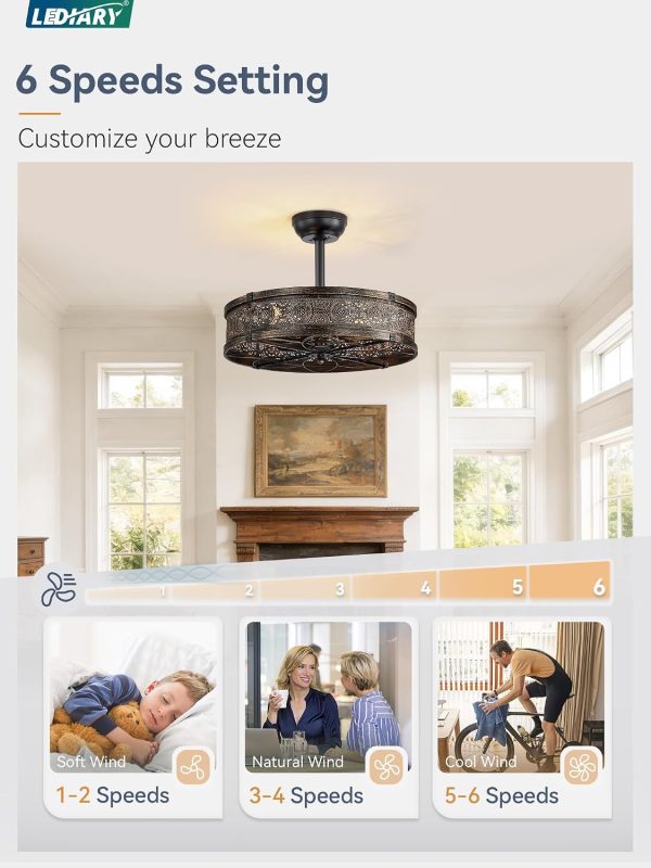 71R11-BAO4L._AC_SL1500_.jpg windphoto 20" Caged Farmhouse Victorian Ceiling Fan with Light, Black Gold | Downrod, Bladeless Enclosed Fandelier, 6 Speed, Quiet Powerful DC, Rustic,Vintage, Rustic, Small, Bedroom, Kitchen