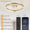 windphoto 2-Pack 20" Ceiling Fans with Lights, APP & Remote, Gold | Low Profile, Flush Mount, Fandelier, 3000K-6000K, Dimmable LED, for Bedroom