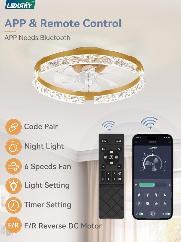 windphoto 2-Pack 20" Ceiling Fans with Lights, APP & Remote, Gold | Low Profile, Flush Mount, Fandelier, 3000K-6000K, Dimmable LED, for Bedroom