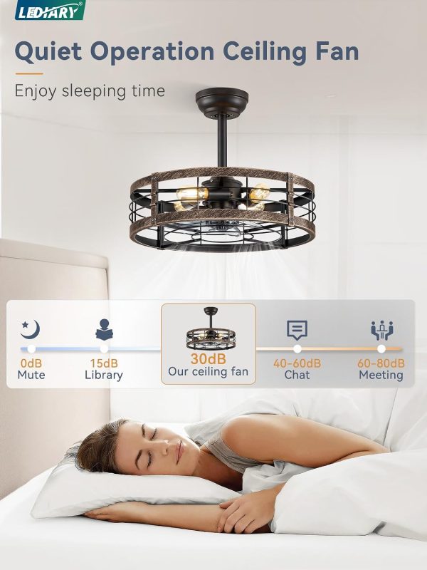 71RXwX8p17L._AC_SL1500_.jpg windphoto 20 inch Fandelier Caged Ceiling Fan with Light, Black Gold | 6 Speed Adjustable,Timing, Quiet & Powerful DC, Small, Farmhouse, Industrial, Enclosed, Bladeless, Bedroom, Kitchen, Downrod