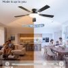 windphoto 52 Inch Flush Mount Ceiling Fans with Lights, Remote & APP Control | Bright Light, 3CCT, Memory Function, Timer, Reversible Blade, Quiet DC Motor, Damp-Rated, Living Room, Bedroom, Covered Patio