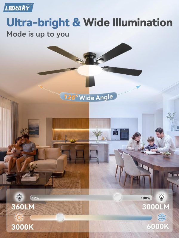 windphoto 52 Inch Flush Mount Ceiling Fans with Lights, Remote & APP Control | Bright Light, 3CCT, Memory Function, Timer, Reversible Blade, Quiet DC Motor, Damp-Rated, Living Room, Bedroom, Covered Patio