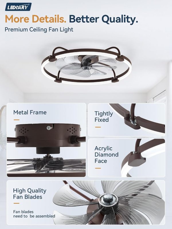 windphoto 24" Low Profile Ceiling Fans with Lights, Remote/APP Control, Brown | Wider Airflow, Stepless Dimmable LED, Quiet Reversible DC Motor, 6 Speeds, 3CCT, Timer, Bedroom, Living Room, Kitchen