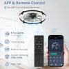 71SFUqn-1tL._AC_SL1500_.jpg windphoto 24" Ceiling Fans with Lights and Remote, Fandelier Black | 3CCT, 6 Speeds, Dimmable Low Profile, Flush Mount Ceiling Fan, Timer, Reversible, Memory, Bedroom, Living Room, Kitchen