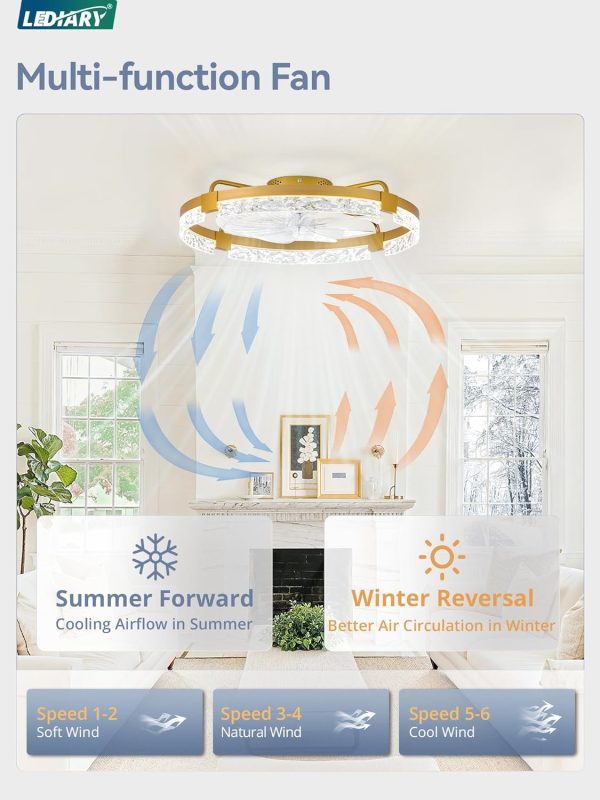 windphoto 2-Pack 24" Ceiling Fans with Lights, APP & Remote, Gold | Low Profile, Flush Mount, Fandelier, 3000K-6000K, Dimmable LED, for Bedroom