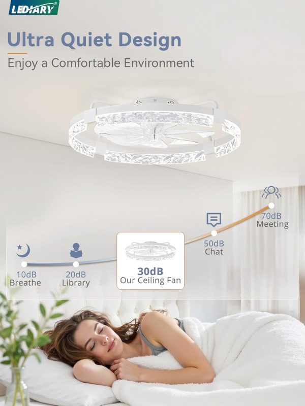 windphoto 2-Pack 24" Ceiling Fans with Lights, APP & Remote, White | Low Profile, Flush Mount, Fandelier, 3000K-6000K, Dimmable LED, for Bedroom