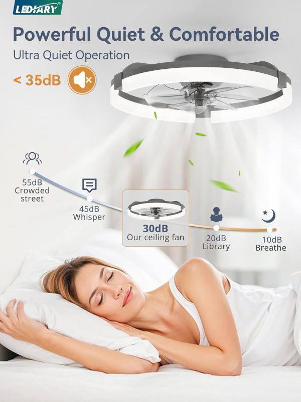 windphoto 20" Ceiling Fans with Lights, Low Profile Fandelier for Bedroom | Flush Mount Fan Light, Stepless Dimmable, App/Remote Control, 3 CCT Led, 6 Speeds, Quiet Reversible DC Motor, Grey