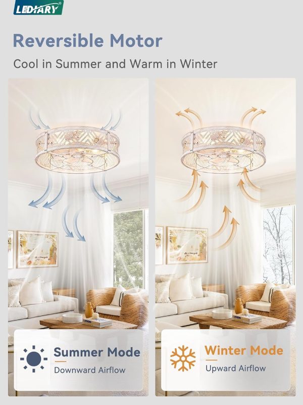 windphoto 20" Caged Ceiling Fan with Light and Remote, Small Fandalier, White | Flush Mount Low Profile, APP Control, Bladeless Industrial Enclosed, Quiet & Powerful for Bedroom, Kitchen, Dining Room