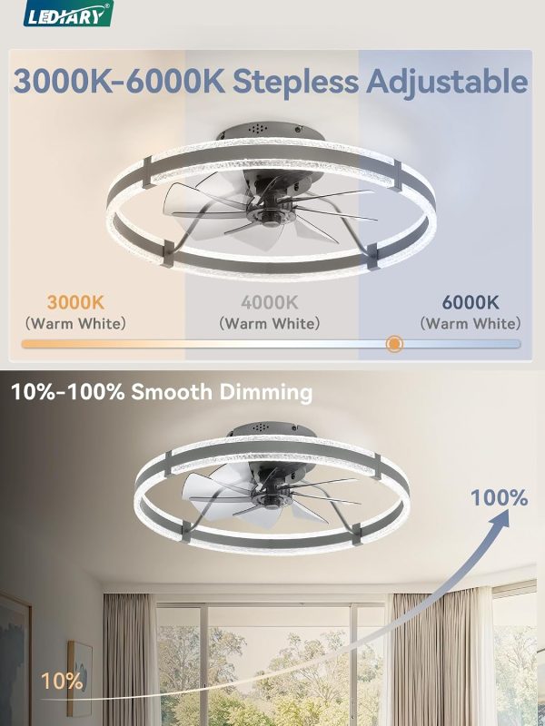windphoto 24'' Modern Low Profile Ceiling Fans with Lights and Remote, Gray | 3000-6000K Dimmable LED, 6 Wind Speeds, Quiet Reversible DC Motor, Small Flush Mount Fandelier for Bedroom, Living Room