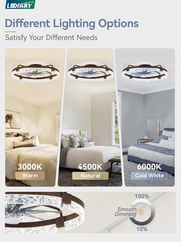 windphoto 2-Pack 24" Ceiling Fans with Lights, APP & Remote, Brown | Low Profile, Flush Mount, Fandelier, 3000K-6000K, Dimmable LED, for Bedroom