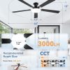 71WBhE8y9ML._AC_SL1500_.jpg windphoto 60 Inch Flush Mount Ceiling Fans with Lights, Remote & APP Control | 3CCT,Stepless Dimmable,Memory Function,Timer,6-speed,Reversible Blade, Quiet DC Motor, Damp-Rated, Living Room, Covered Patio