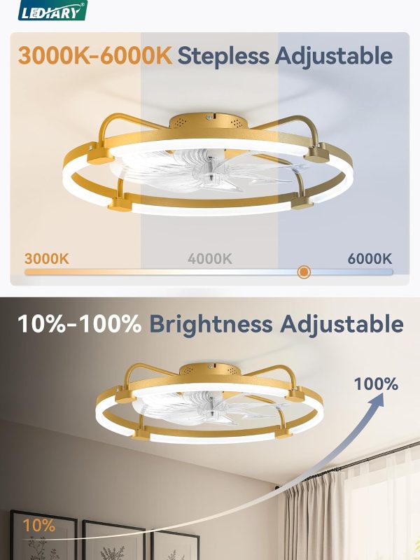 windphoto 24" Ceiling Fans with Lights and Remote, Low Profile Led Fan Light | Flush Mount, Stepless Dimmable Fandelier, 6 Speeds, 3 CCT, Quiet Reversible DC Motor, 2H Timer, Bedroom, Living Room, Gold
