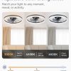 71WzcSBI0EL._AC_SL1500_.jpg windphoto 20" Modern Ceiling Fans with Lights and Remote, Black Fandelier | Dimmable Low Profile, Flush Mount Ceiling Fan, Stepless Color Temperature Change, 6 Speeds, Bedroom, Living Room, Kitchen