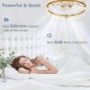 71X9VBe45LL._AC_SL1500_.jpg windphoto 2 Pack 20" Modern Ceiling Fans with Lights and Remote, Gold | Fandelier, Dimmable Low Profile, Flush Mount, Stepless Color Temperature Change, 6 Speeds, Bedroom, Living Room, Kitchen