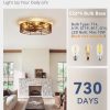 windphoto 23" Caged Low Profile Enclosed Ceiling Fan Light with Remote | Flush Mount, Bladeless Enclosed Fandelier, 6 Speed, Quiet Reversible DC, Rustic, Victorian, Rustic, Bedroom, Kitchen