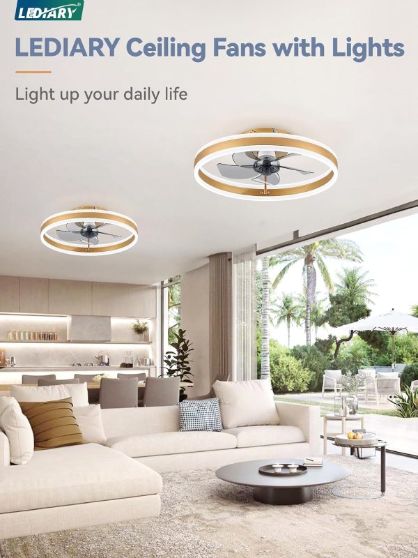 71YrM85CVaL._AC_SL1500_.jpg windphoto 19.7'' Modern Low Profile Ceiling Fans with Lights and Remote,Gold | 3000-6000K Dimmable LED, 6 Wind Speeds, Quiet Reversible DC Motor, Small Flush Mount Fandelier for Bedroom, Living Room
