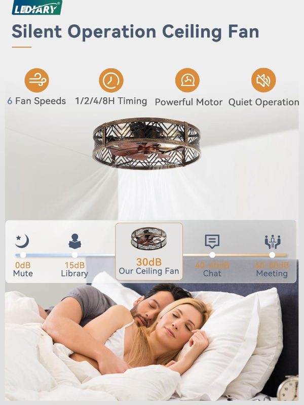 windphoto 23" Caged Ceiling Fan with Light and Remote, Fandalier, Black Gold | Flush Mount Low Profile, APP Control, Rustic Bladeless Industrial Enclosed, Quiet & Powerful for Bedroom,Kitchen,Dining Room