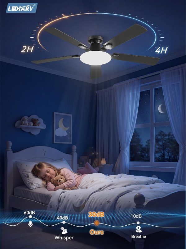 windphoto 52 Inch Flush Mount Ceiling Fans with Lights, Remote & APP Control | Bright Light, 3CCT, Memory Function, Timer, Reversible Blade, Quiet DC Motor, Damp-Rated, Living Room, Bedroom, Covered Patio