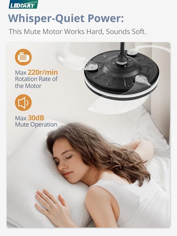 71aL717RQpL._AC_SL1500_.jpg windphoto Retractable Ceiling Fan with Lights and Remote & APP Control, 42 Inch Fandelier Ceiling Fan with Light, 6 Speed Dimmable Reversible Memory, Modern Silent Smart Fan for Bedroom Living Room