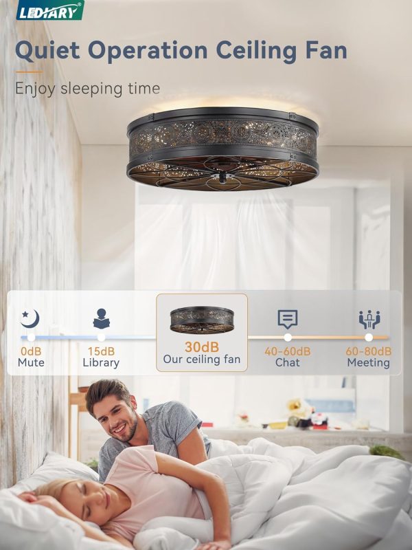 windphoto 20" Caged Farmhouse Ceiling Fan and Light with Remote, Black | Flush Mount, Bladeless Enclosed Fandelier, 6 Speed, Quiet Powerful DC, Rustic,Vintage, Rustic, Small, Bedroom, Kitchen