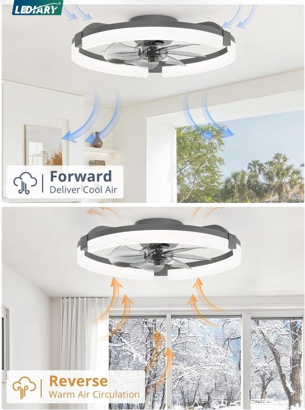 windphoto 20" Ceiling Fans with Lights, Low Profile Fandelier for Bedroom | Flush Mount Fan Light, Stepless Dimmable, App/Remote Control, 3 CCT Led, 6 Speeds, Quiet Reversible DC Motor, Grey