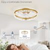 windphoto 2-Pack 20" Ceiling Fans with Lights, APP & Remote, Gold | Low Profile, Flush Mount, Fandelier, 3000K-6000K, Dimmable LED, for Bedroom