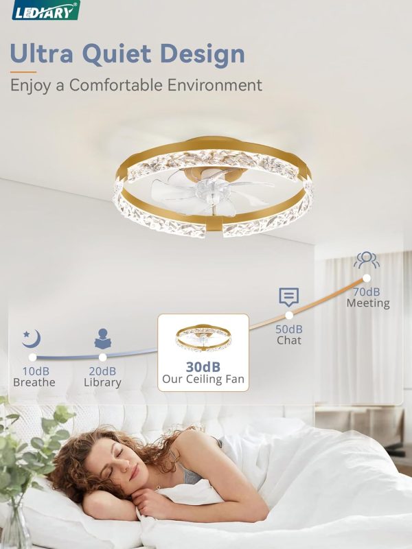 windphoto 2-Pack 20" Ceiling Fans with Lights, APP & Remote, Gold | Low Profile, Flush Mount, Fandelier, 3000K-6000K, Dimmable LED, for Bedroom