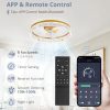 71bu3B6mQtL._AC_SL1500_.jpg windphoto 22" Ceiling Fans with Lights and Remote, Fandelier Gold | 3CCT, 6 Speeds, Dimmable Low Profile, Flush Mount Ceiling Fan, Timer, Reversible, Memory, Bedroom, Living Room, Kitchen
