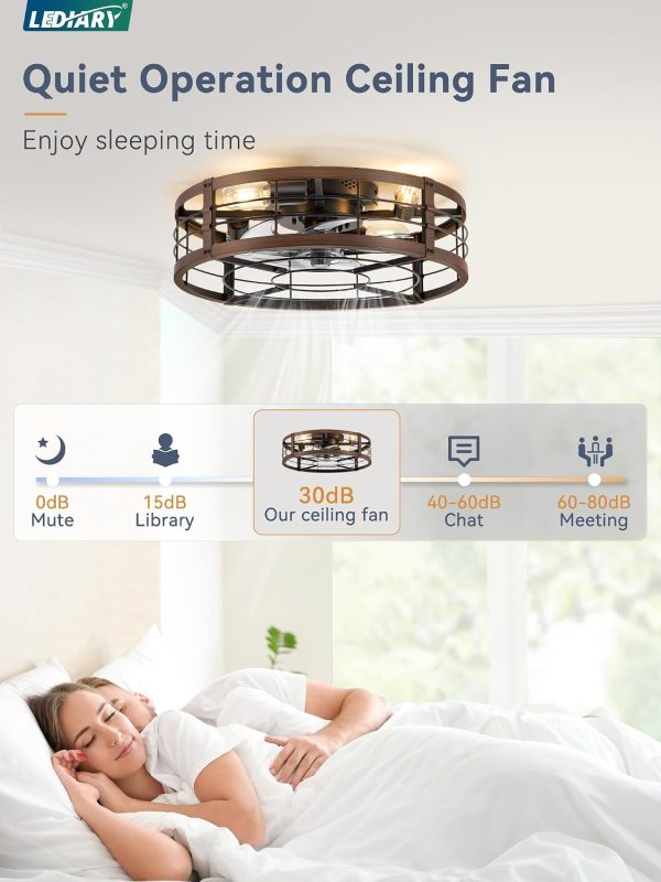 windphoto 20" Walnut Caged Low Profile Ceiling Fan with Light and Remote | Flush Mount, Bladeless Enclosed Fandelier, 6 Speed, Quiet Powerful DC, Rustic,Farmhouse, Small, Bedroom, Kitchen, Indoor