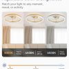windphoto 20" Modern Ceiling Fans with Lights and Remote, Dimmable Low Profile Ceiling Fan, Flush Mount Fan, Stepless Color Temperature Change and 6 Speeds - Gold | Fandelier, Dimmable Low Profile, Flush Mount, Stepless Color Temperature Change, 6 Speeds, Bedroom, Living Room, Kitchen