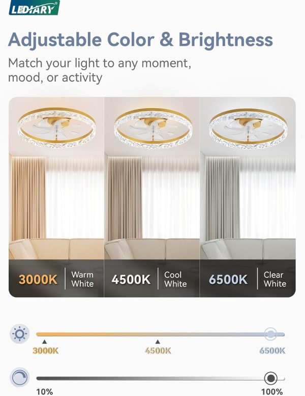 windphoto 20" Modern Ceiling Fans with Lights and Remote, Dimmable Low Profile Ceiling Fan, Flush Mount Fan, Stepless Color Temperature Change and 6 Speeds - Gold | Fandelier, Dimmable Low Profile, Flush Mount, Stepless Color Temperature Change, 6 Speeds, Bedroom, Living Room, Kitchen