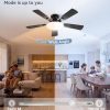 71dZuWszGOL._AC_SL1500_.jpg windphoto 42 Inch Flush Mount Ceiling Fans with Lights, Remote & APP Control | Bright Light, 3CCT, Dimmable, Memory Function, Timer, Reversible Blade, Quiet DC Motor, Damp-Rated, Bedroom, Covered Patio